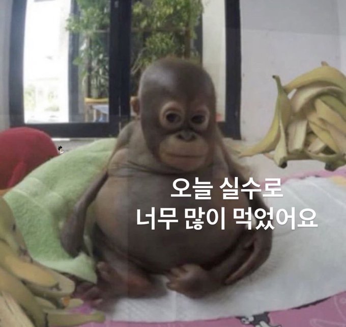 띵동 이미지
