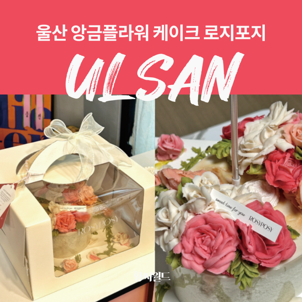 로지플라워케이크 이미지