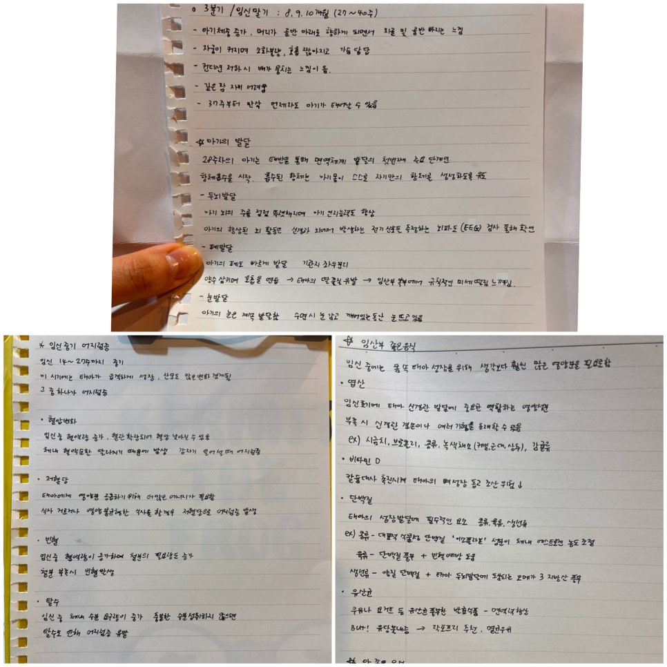 머슬제이 이미지