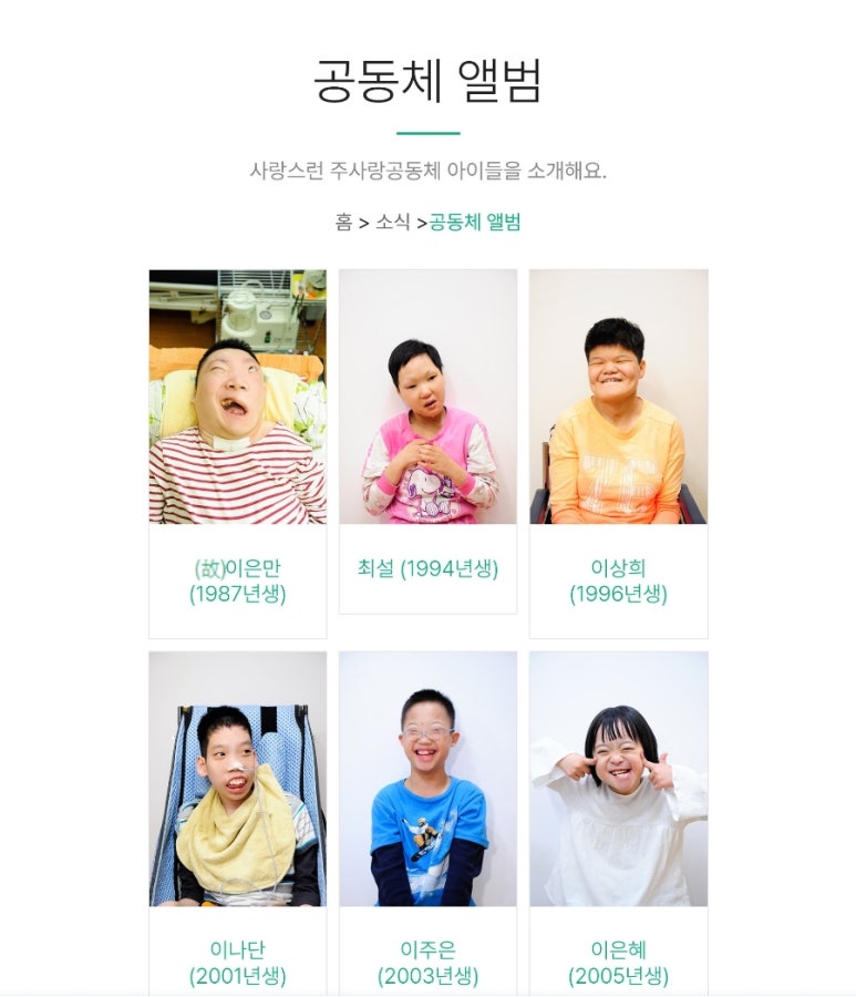 나이테주 이미지