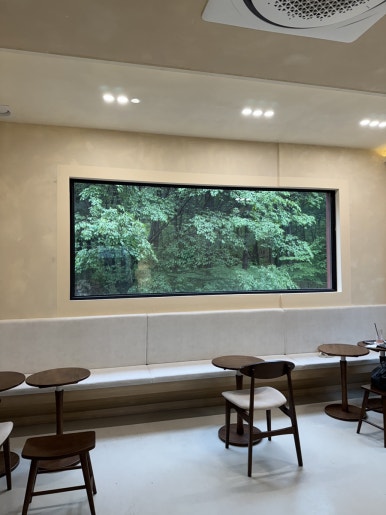 레포레스트(REFOREST) 이미지