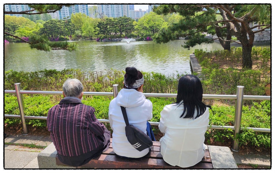 분당 과일사랑 이미지