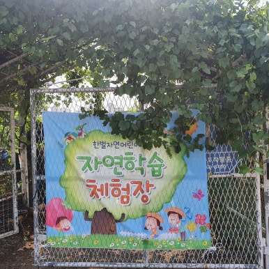 한벌자연어린이집 이미지