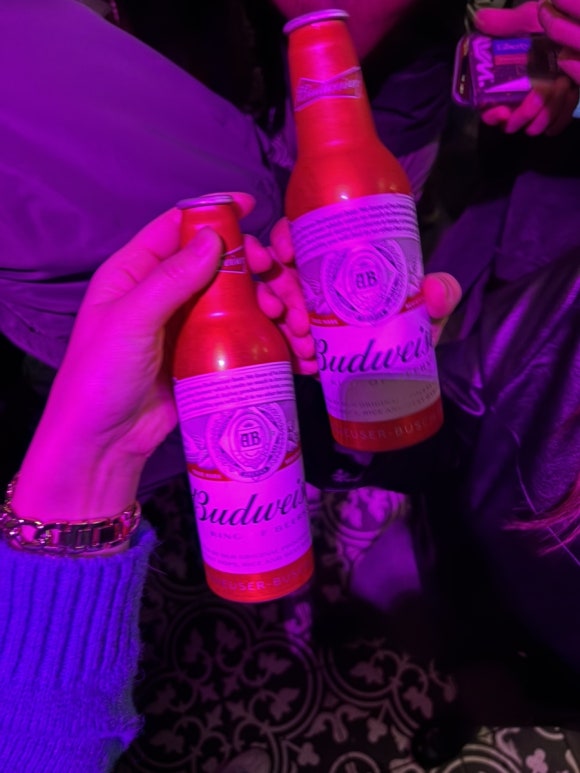 베흐 방(Vert Vin) 이미지