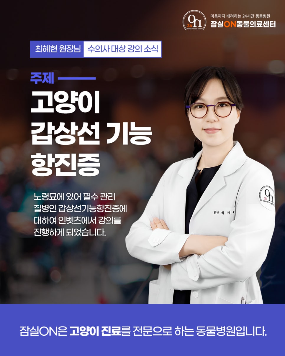 인벳츠 이미지