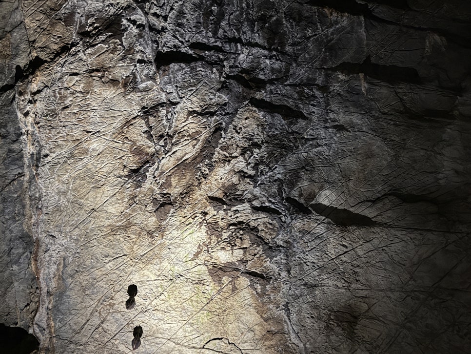 고수동굴 제1주차장 이미지