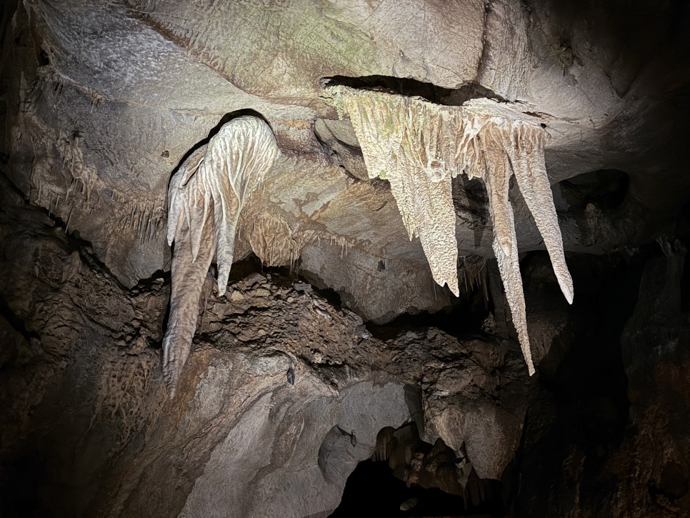 고수동굴 제1주차장 이미지