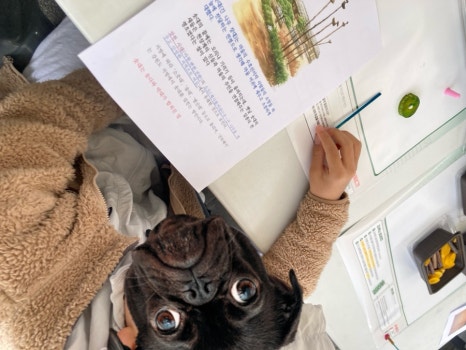 쥬얼리예쁜글씨 이미지