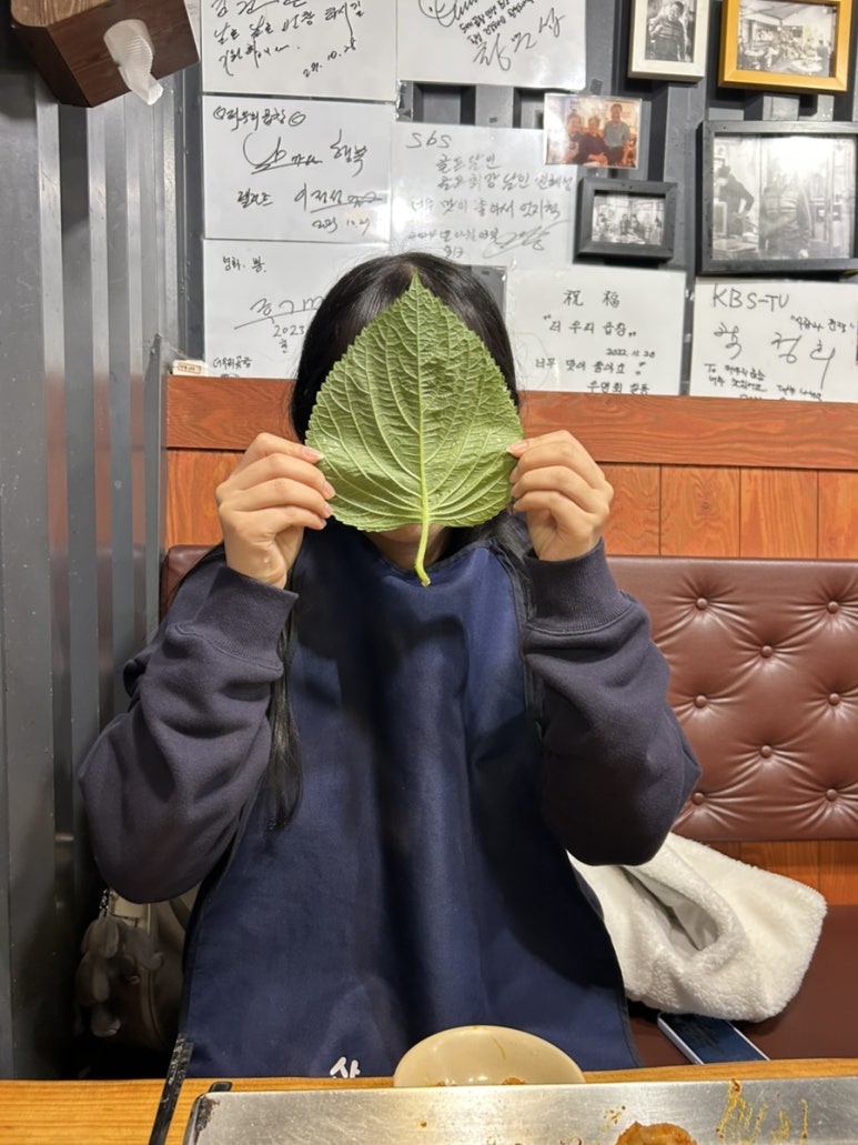 더우리 이미지