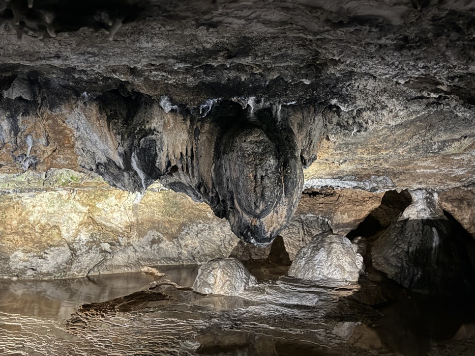 고수동굴 제1주차장 이미지