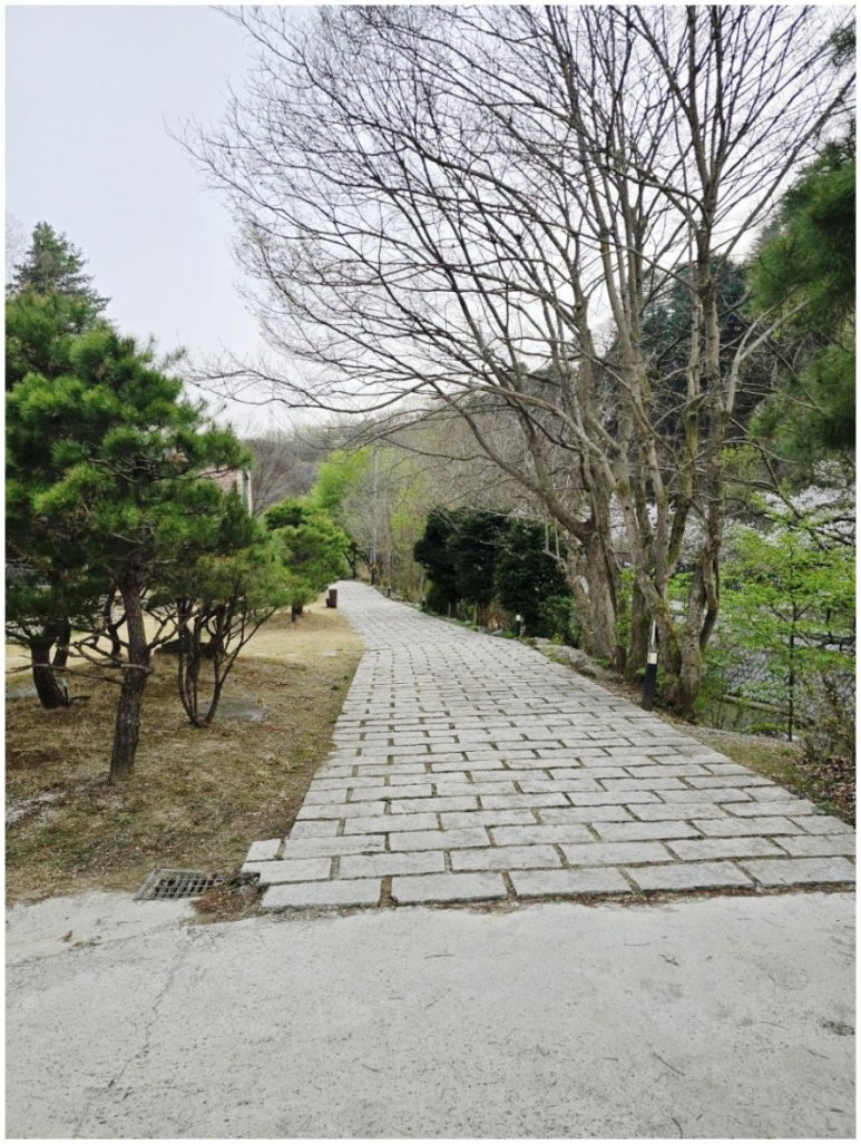 더설렘 풀빌라펜션 이미지
