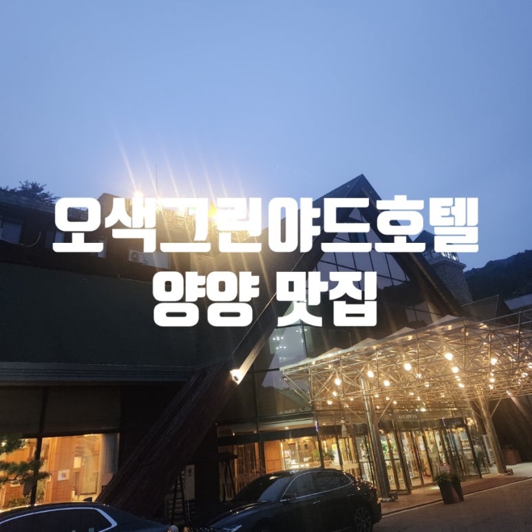 양양기사님식당 이미지