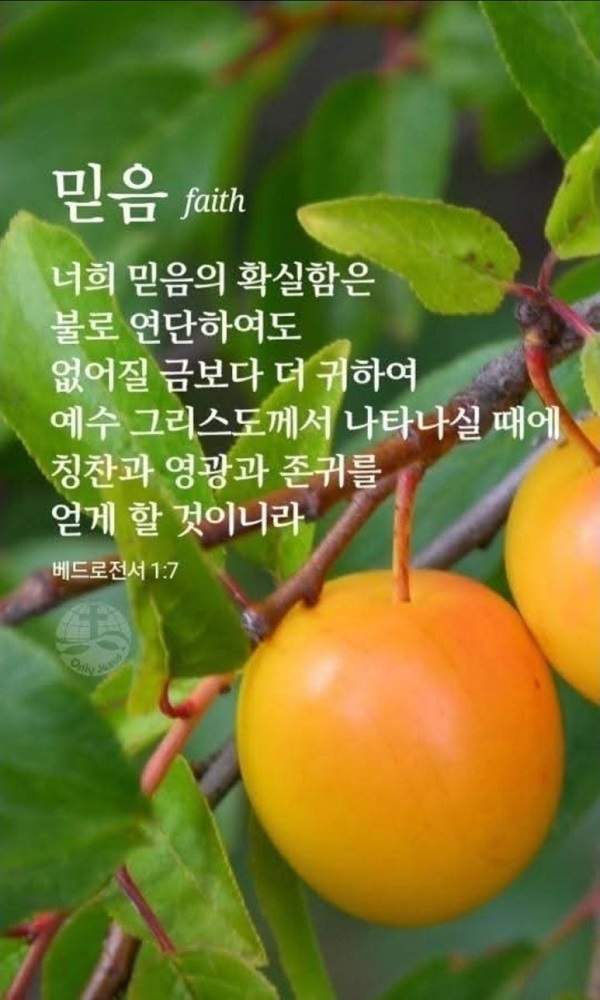 감사의집 이미지