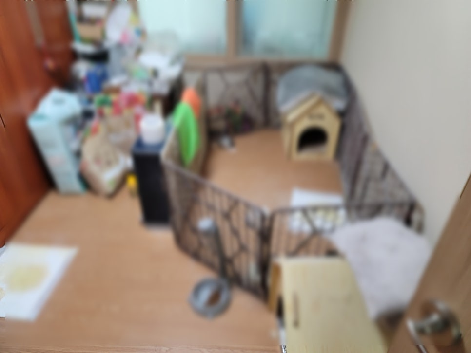 우성헬스케어 이미지