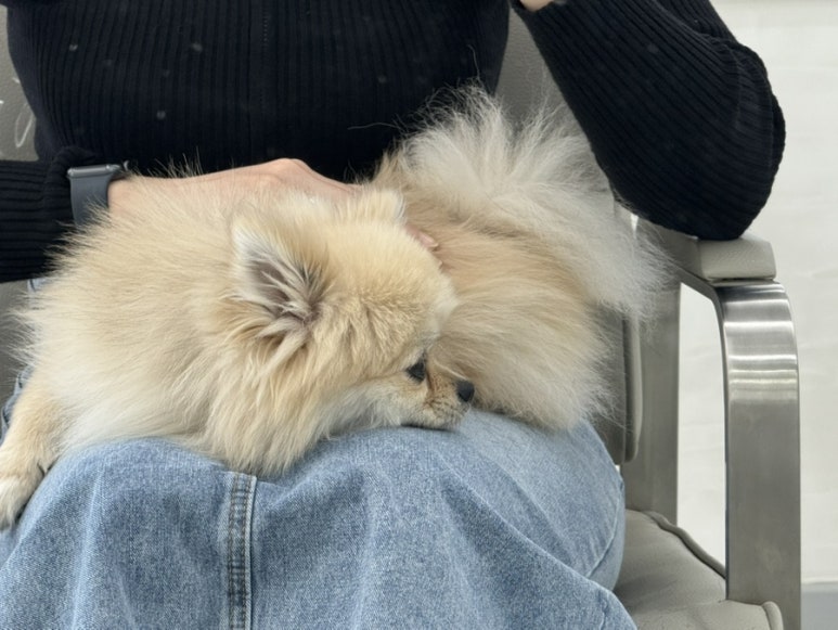투디아 이미지