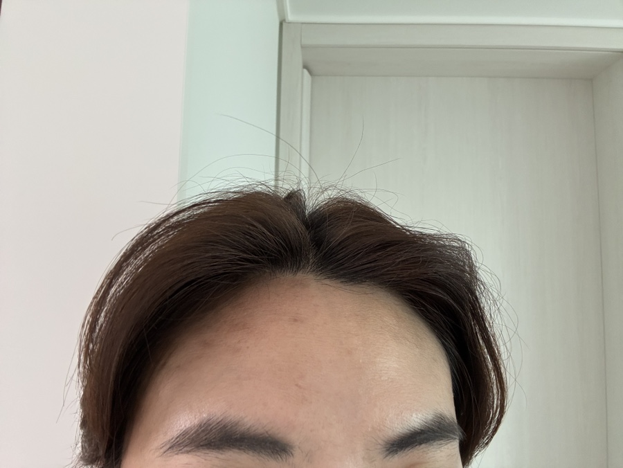 팡헤어 이미지