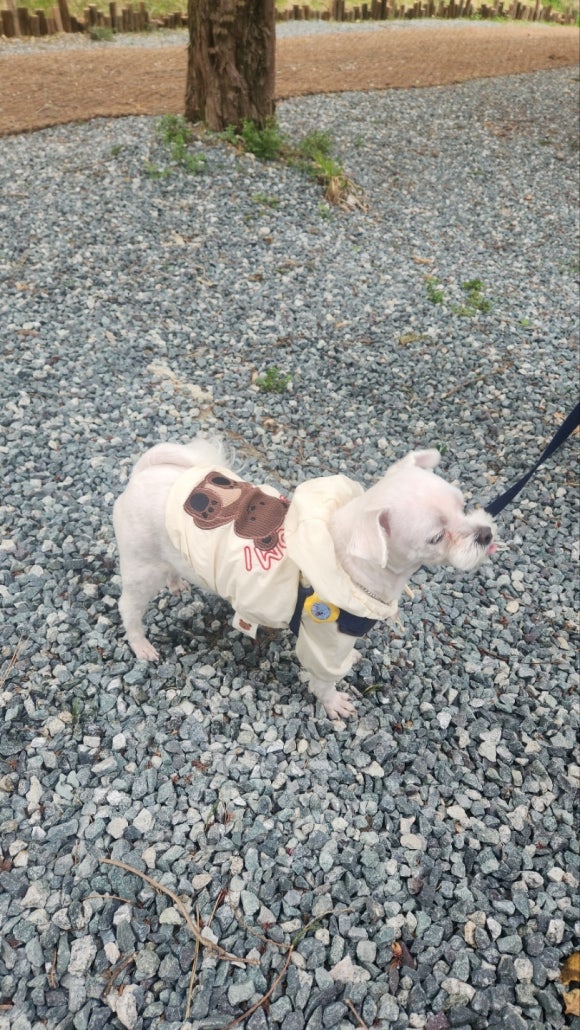 바베큐랜드 이미지