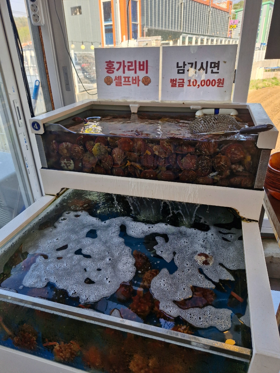 불티나수산 이미지