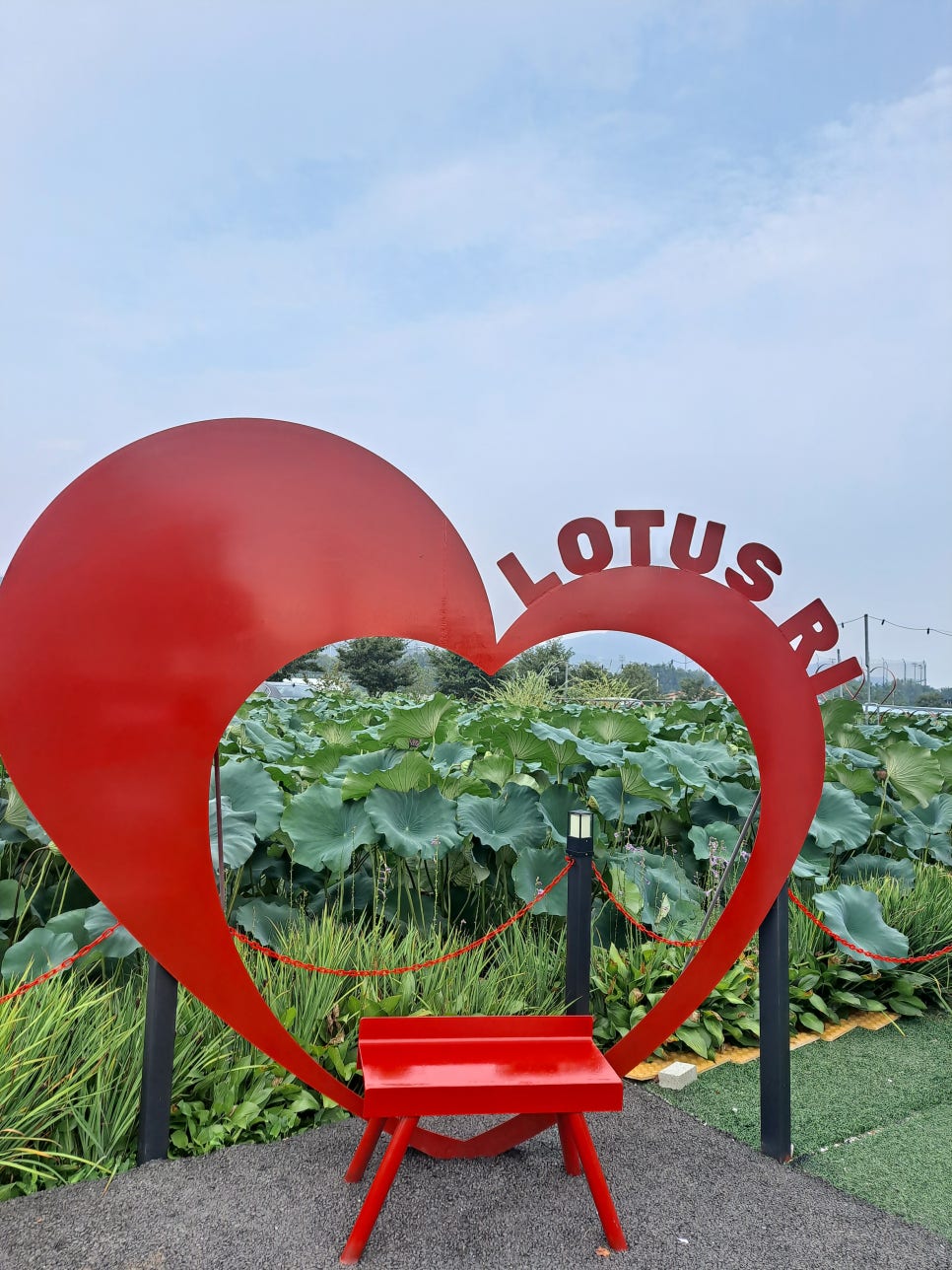 연꽃빌리지관광농원 이미지