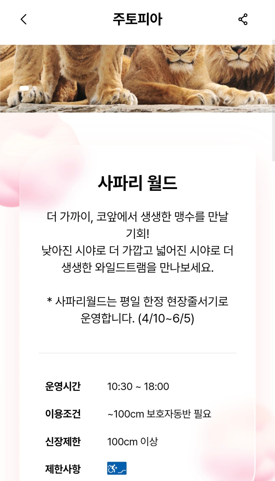 에버월드투어 이미지