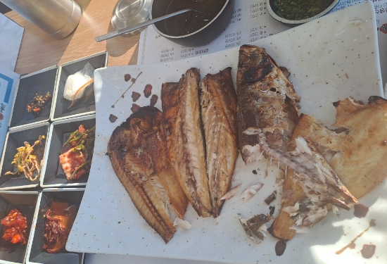 테라생선구이 이미지