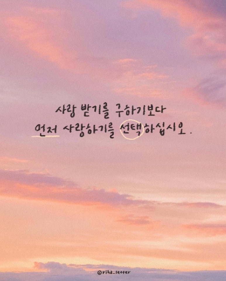 피자풀 이미지