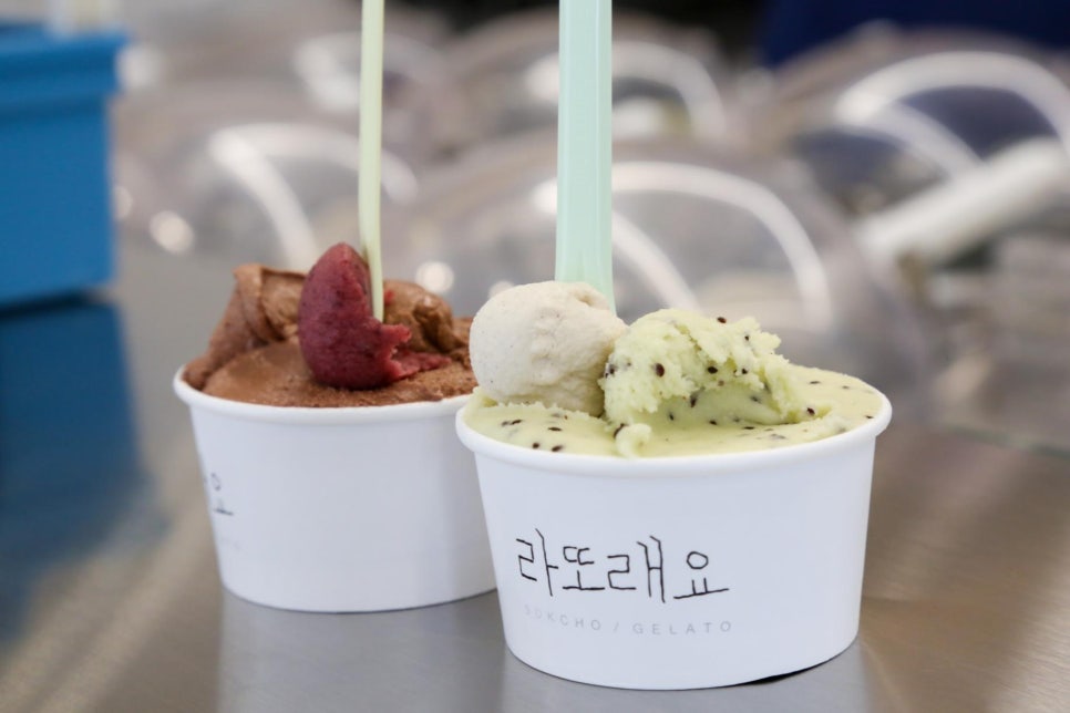 라또래요 이미지