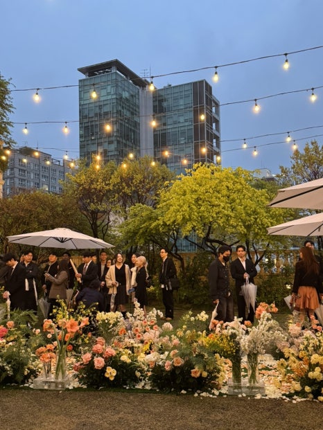 라움 이미지