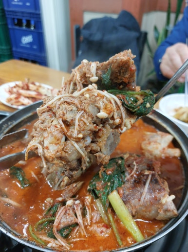 손큰집 이미지