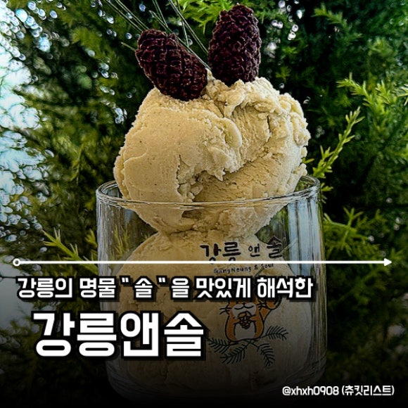 강릉앤솔 이미지