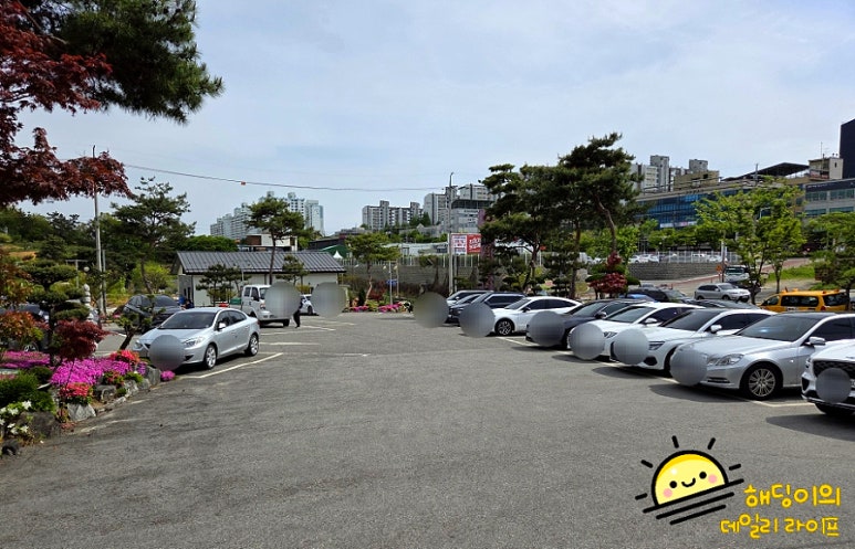 온더힐 이미지