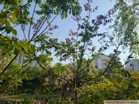 오동화랑 이미지