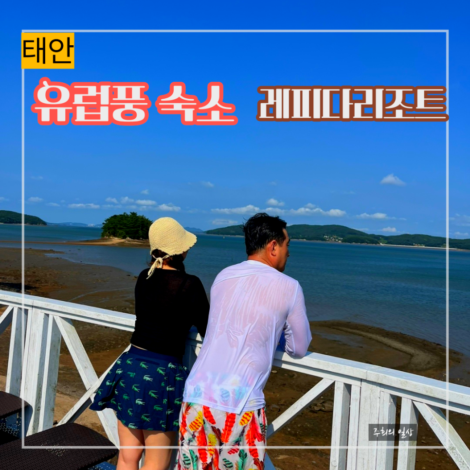 레피다리조트 이미지