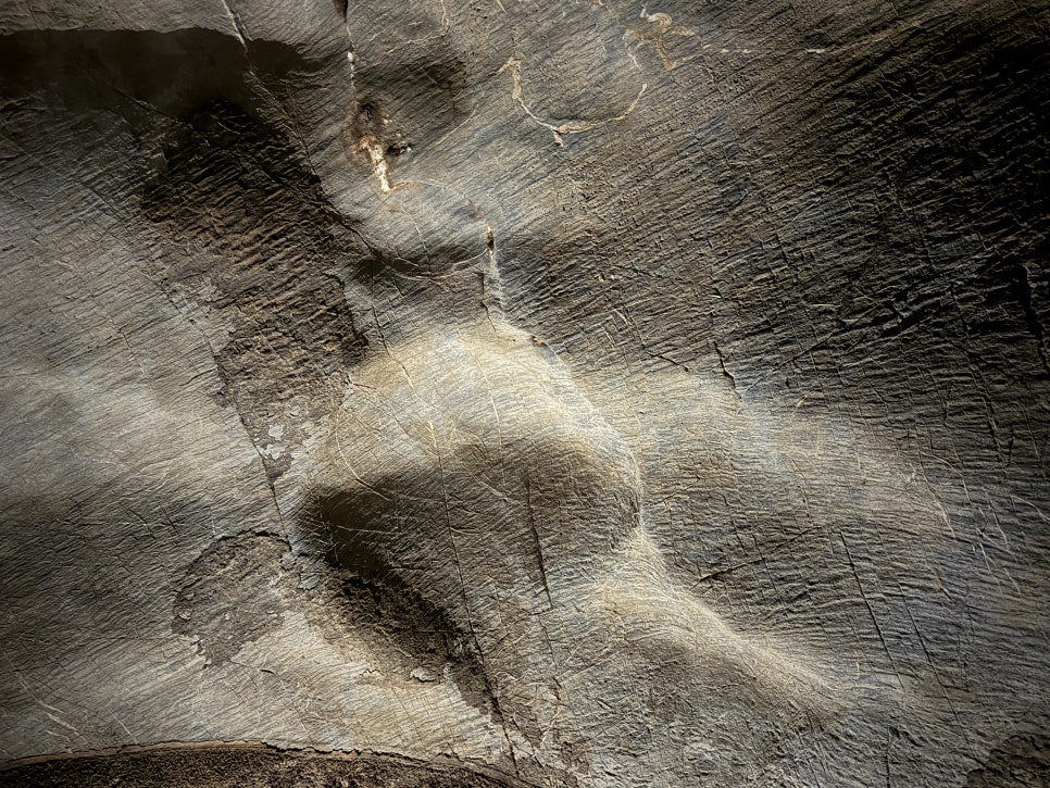 고수동굴 제1주차장 이미지