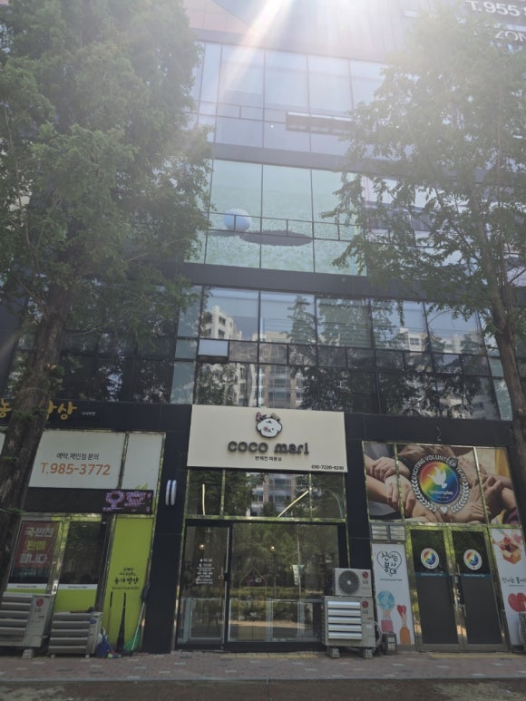 코코 반려견미용실 이미지