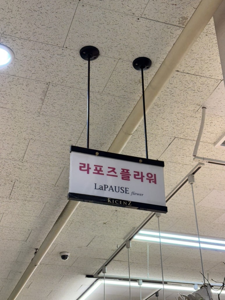 라포즈플라워 이미지