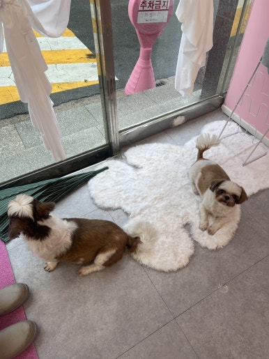 뷰티.채 이미지
