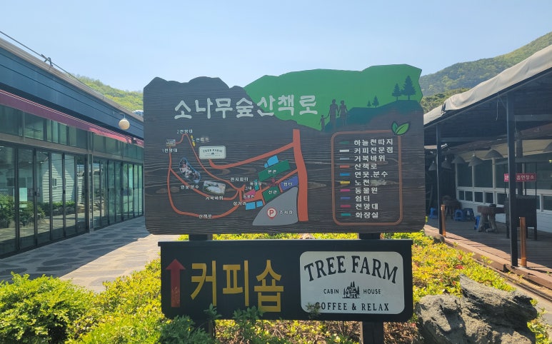 하늘천따지식당 이미지