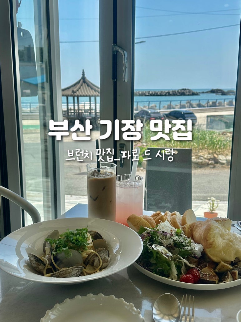 파로드시랑 이미지