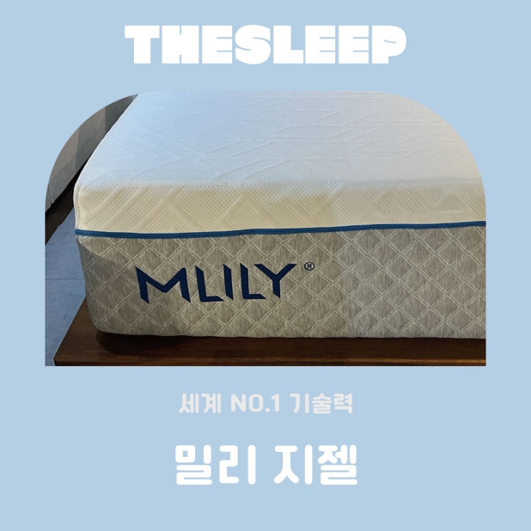 지젤쇼룸 이미지