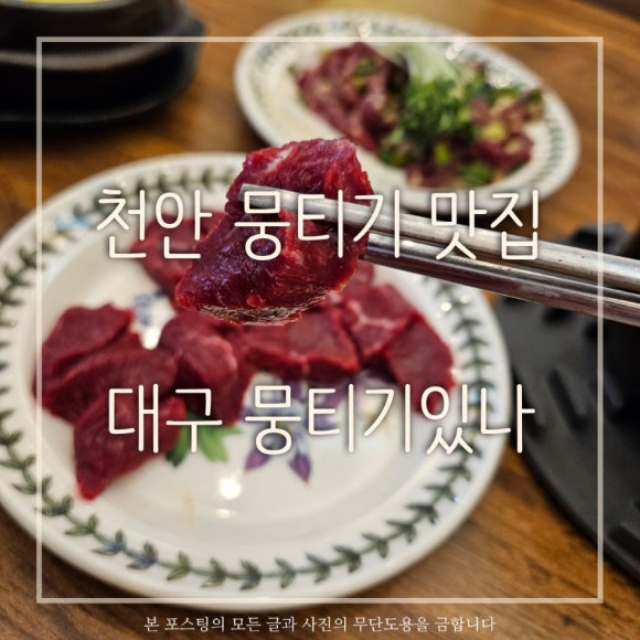 대구뭉티기있나 이미지