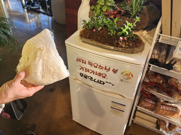 지평선두부 이미지