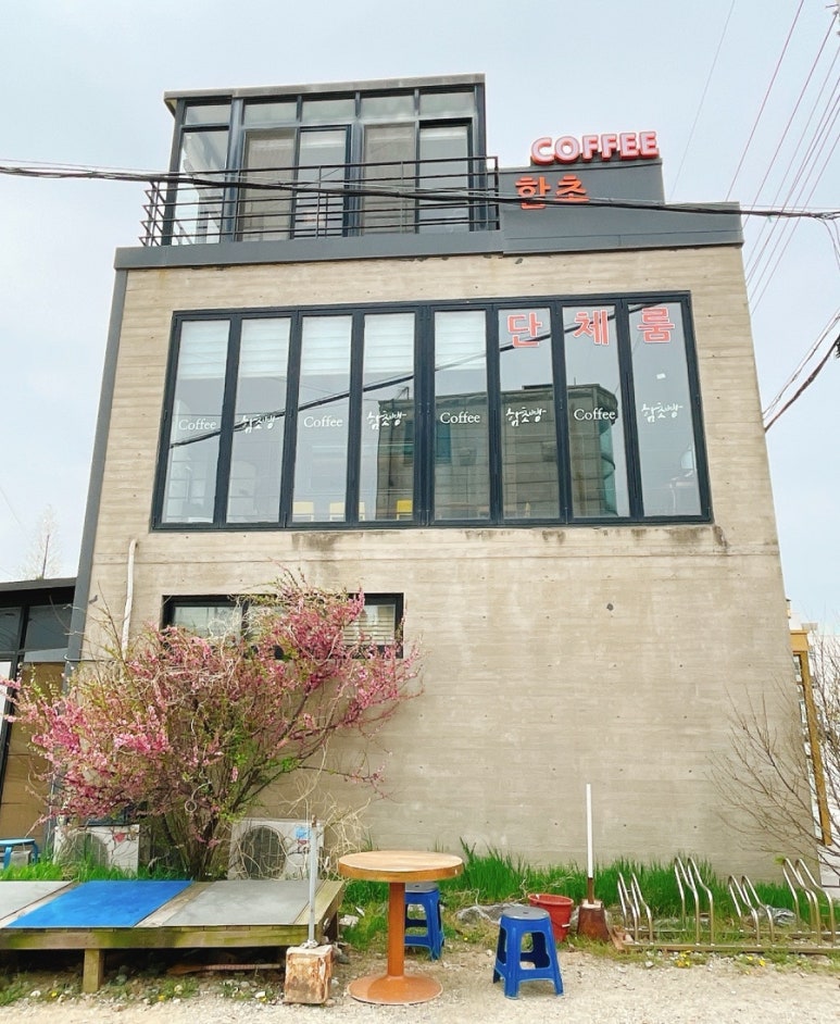 함초당&알로하피크닉 이미지