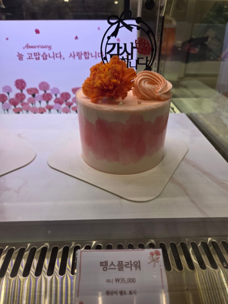시스페어리 이미지