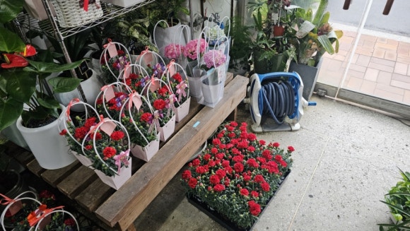 산청꽃집 이미지