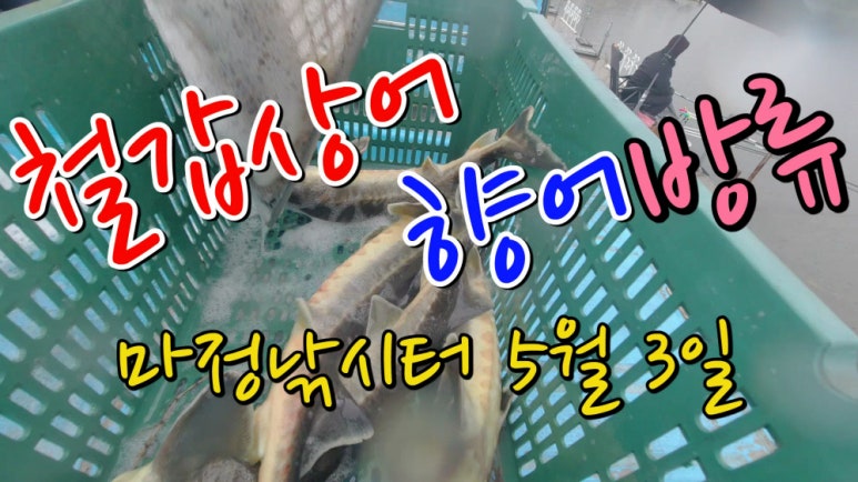 대박향어 이미지