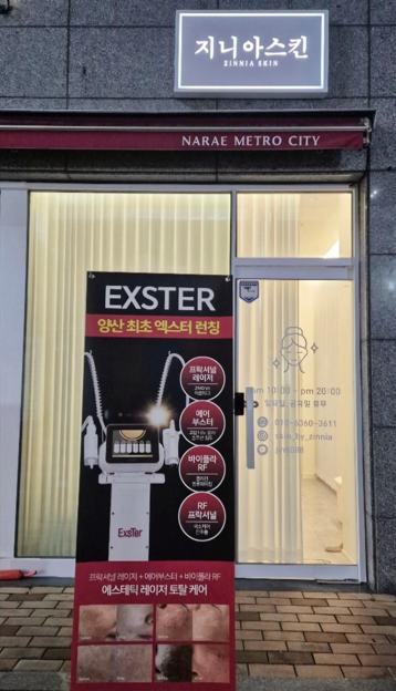 지니아 이미지