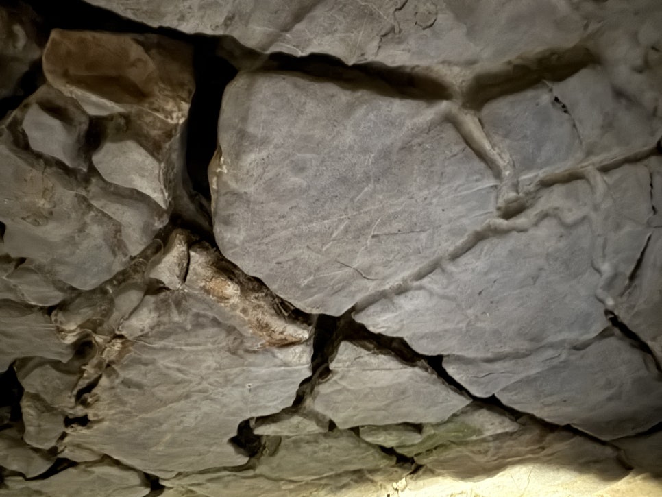 고수동굴 제1주차장 이미지