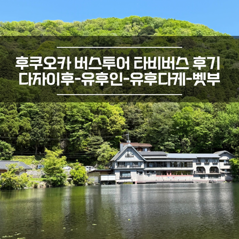 타비투어 이미지