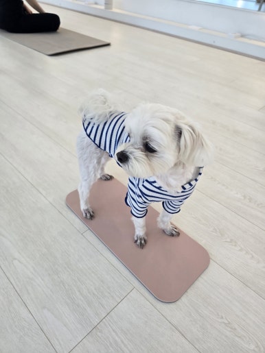 훌랄라참숯바베큐치킨 이미지